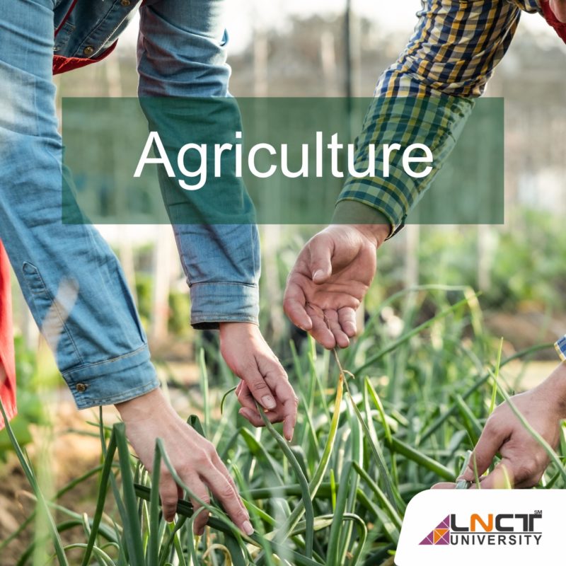 MSc Agriculture Career and Scope 2021 | LNCT University Bhopal, M P