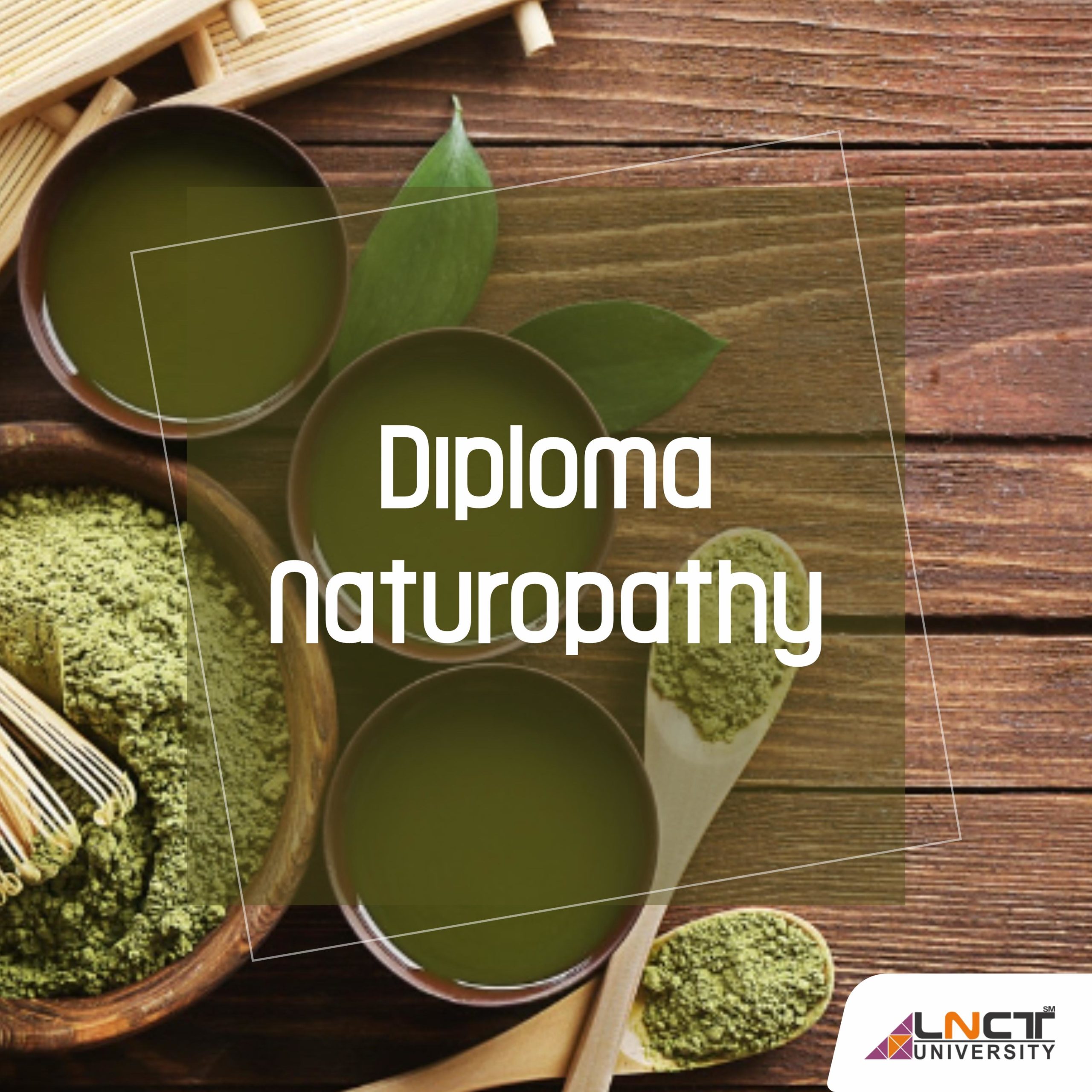 diploma in yoga and naturopathy distance education