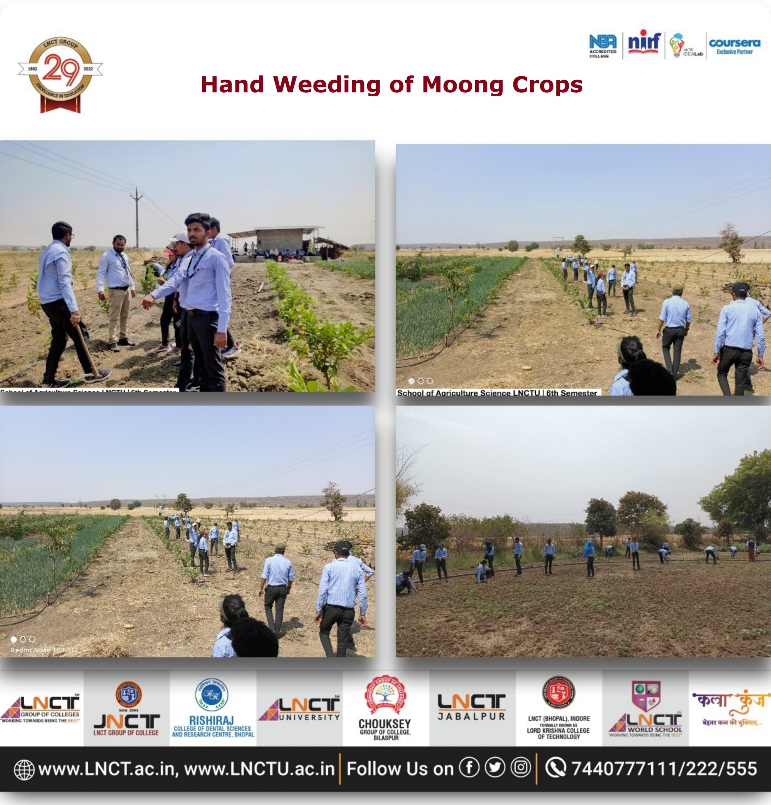 Hand Weeding of Moong Crops and Field Prepration