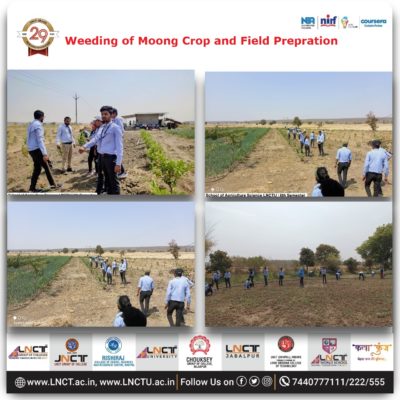 Weeding of Moong Crop and Field Prepration